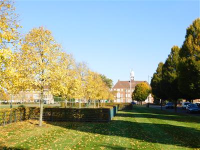 Picture 19